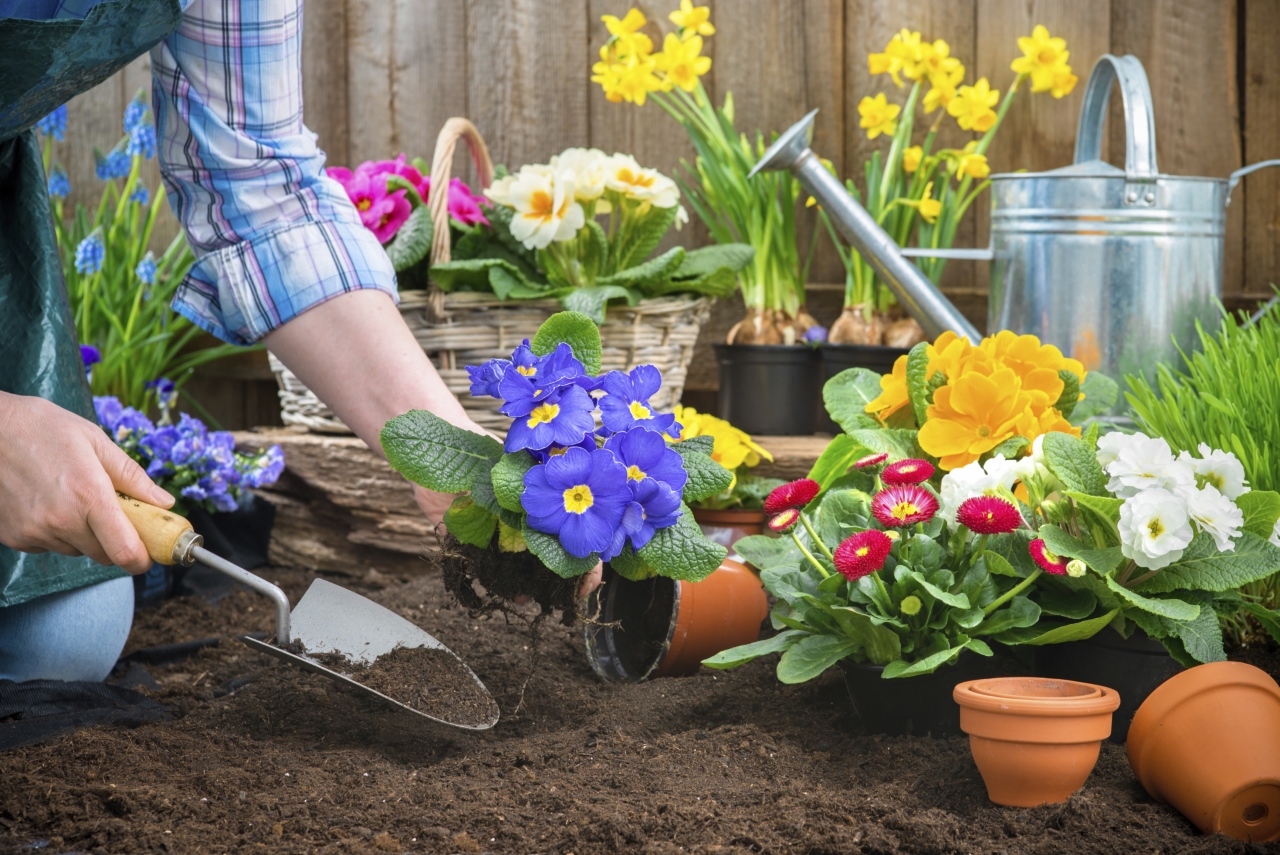 A Guide To Gardening During The Early Spring Season